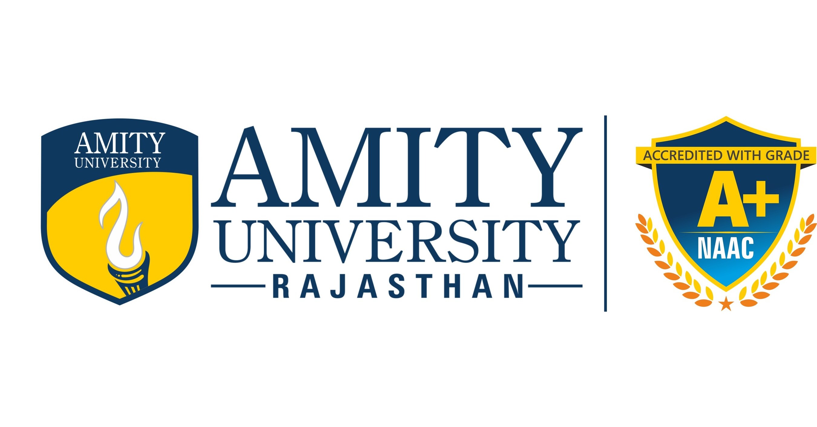 AMITY UNIVERSITY